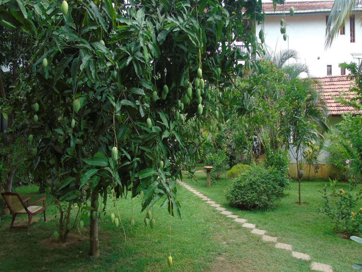 Secret Bay Hotel มาตารา ภายนอก รูปภาพ